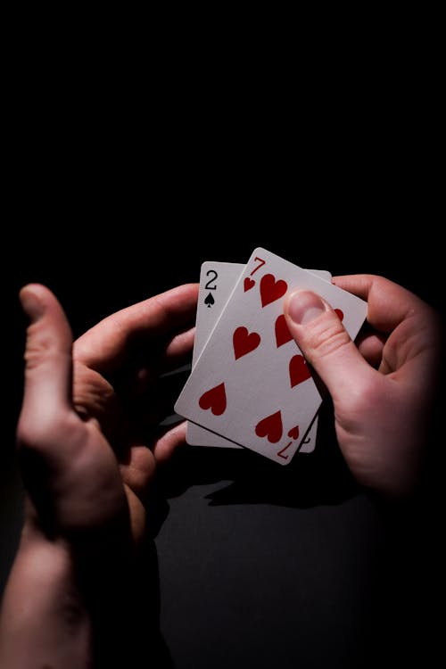 Lottovision Situs Terbaik 2026