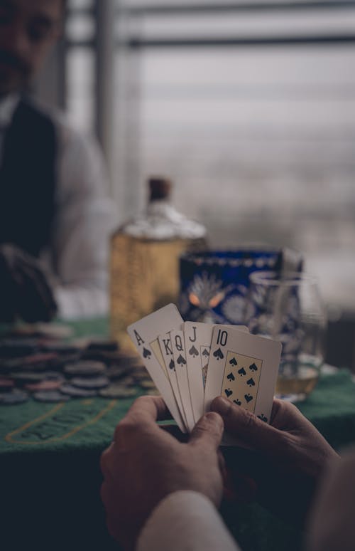 Lottovision Game Features Explained